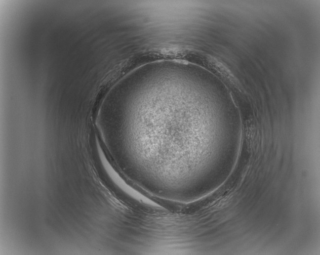 X0000071800593200607150149