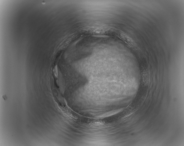 X0000071800594200607150149