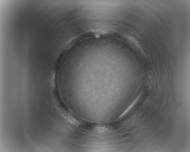 X0000071800596200607150149