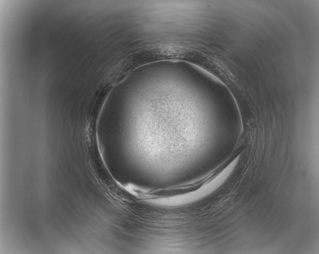 X0000071800597200607150148