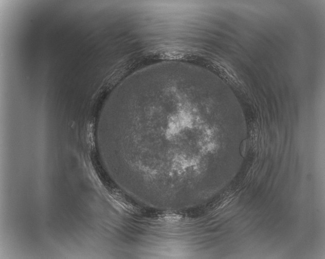 X0000071800598200607150148