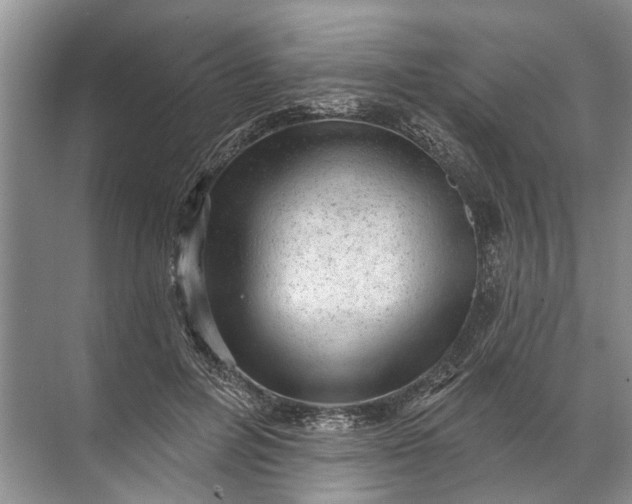 X0000071800600200607150148