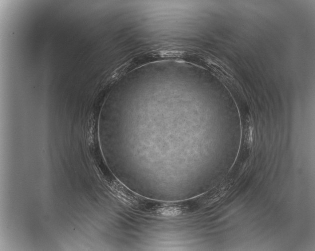 X0000071800604200607150148