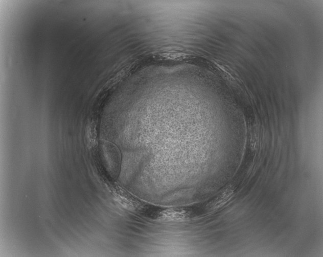 X0000071800606200607150148