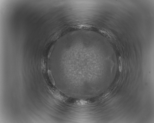 X0000071800607200607150148