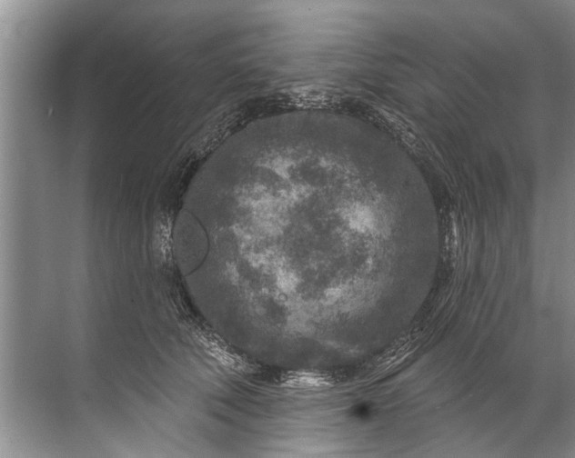 X0000071800610200607150148