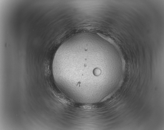 X0000071800615200607150148