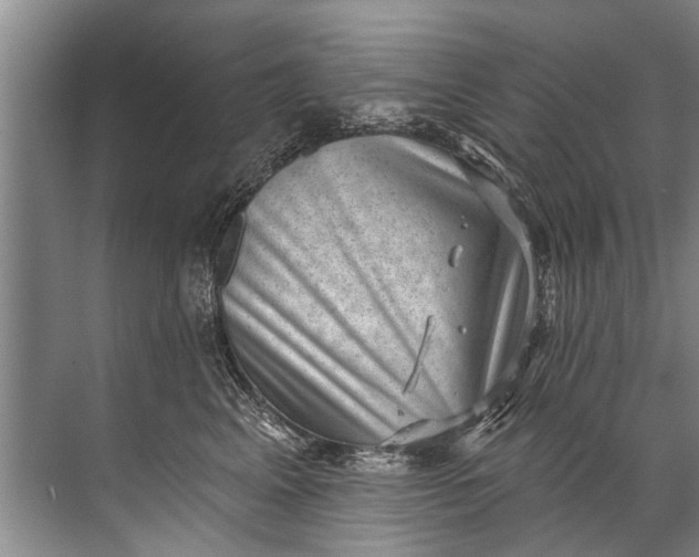 X0000071800617200607150148