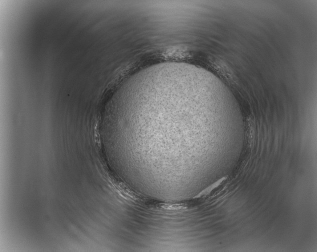 X0000071800619200607150148