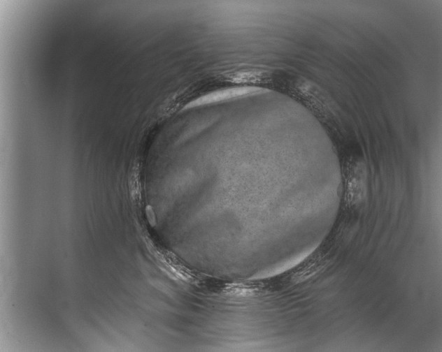 X0000071800620200607150148