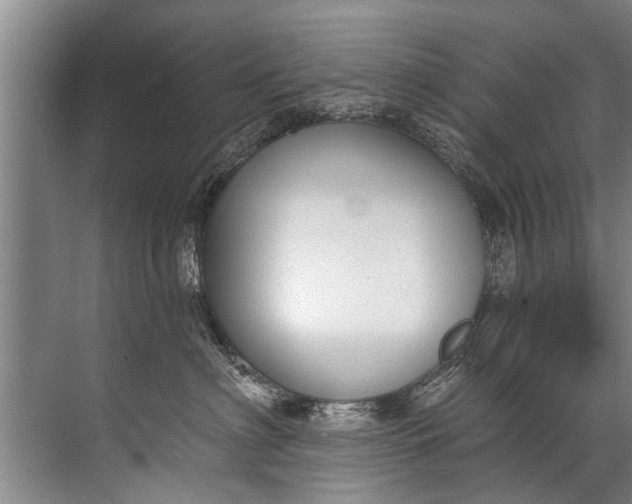 X0000071800622200607150148