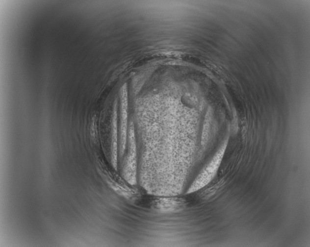 X0000071800623200607150148