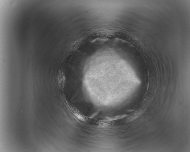 X0000071800624200607150148