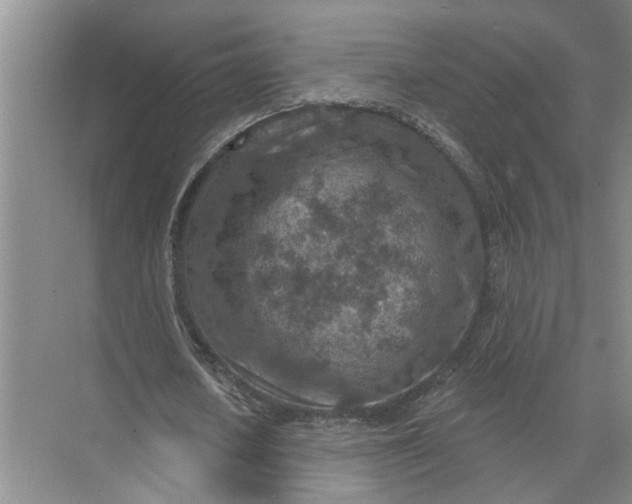 X0000071800626200607150147