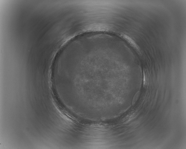 X0000071800627200607150147