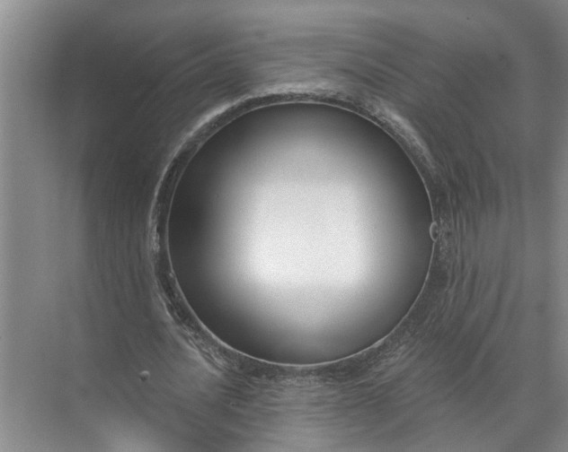 X0000071800628200607150147