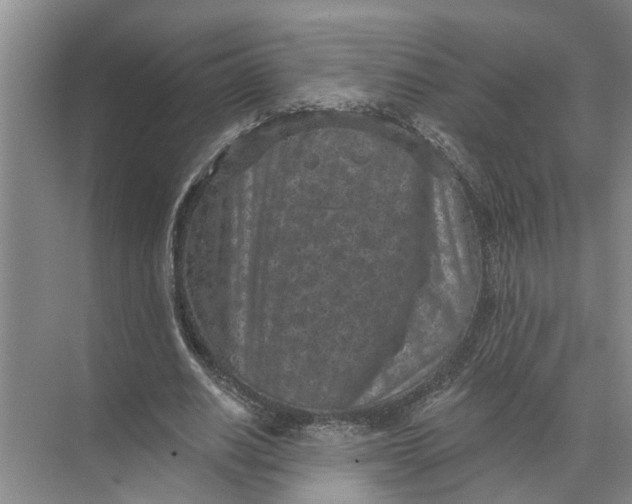 X0000071800630200607150147