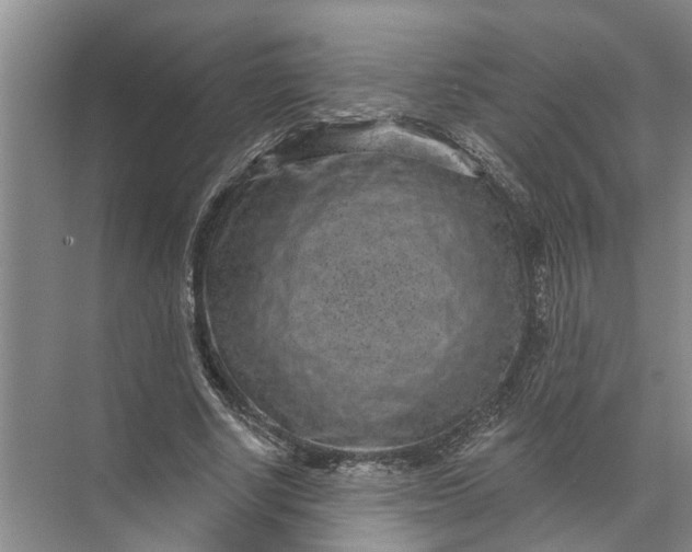 X0000071800634200607150147