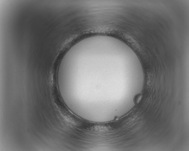 X0000071800636200607150147