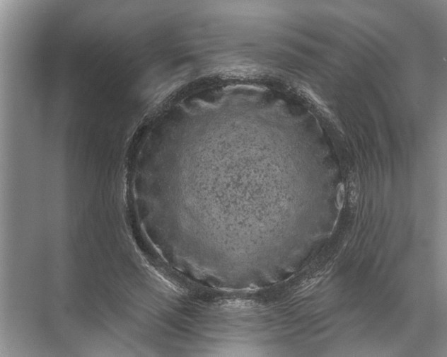 X0000071800637200607150147