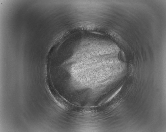 X0000071800638200607150147