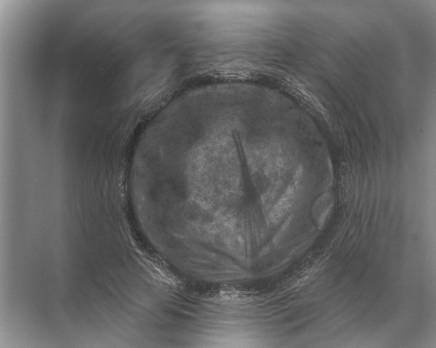 X0000071800641200607150148