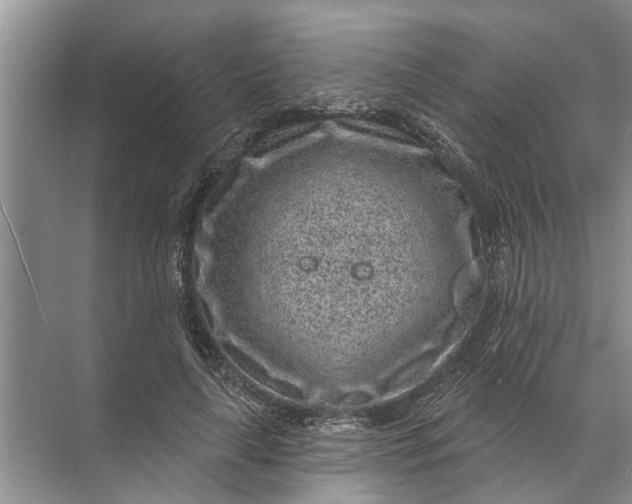 X0000071800643200607150148