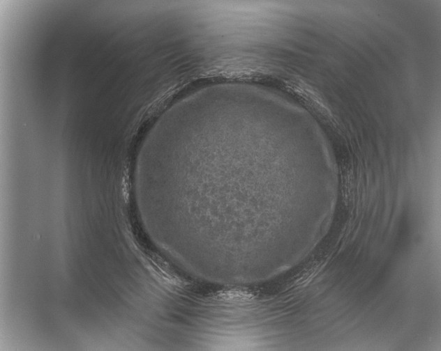 X0000071800644200607150148