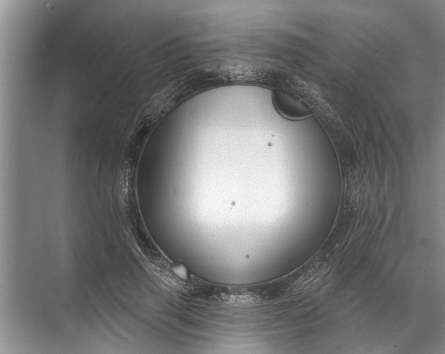 X0000071800645200607150148