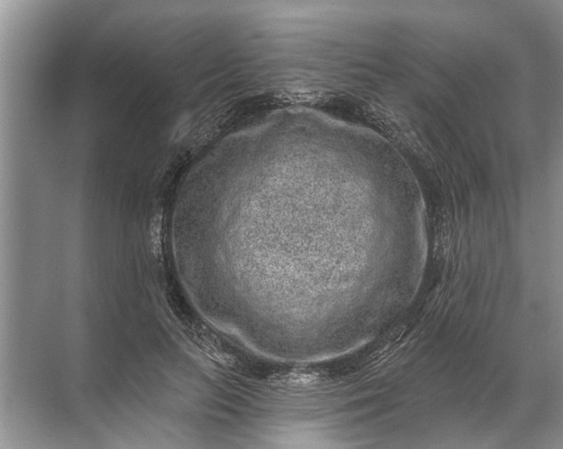 X0000071800647200607150148