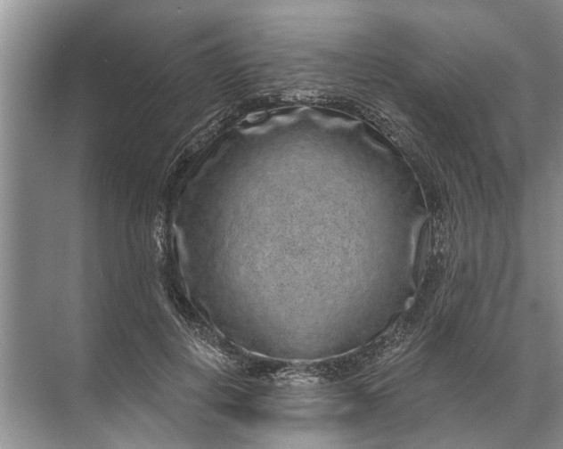 X0000071800648200607150148