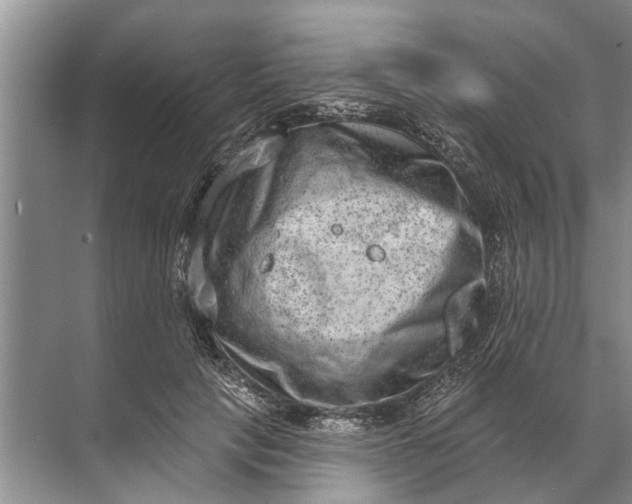 X0000071800649200607150148