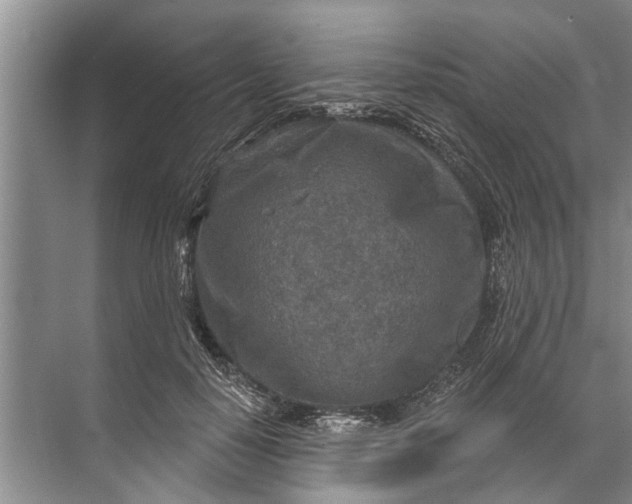 X0000071800650200607150148