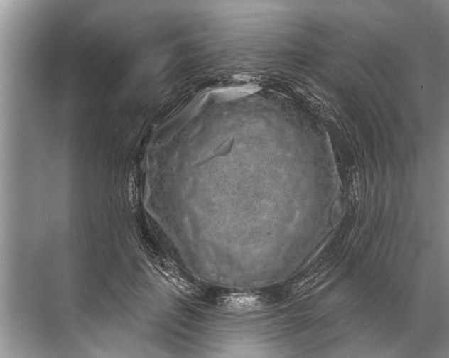 X0000071800651200607150148