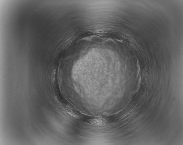 X0000071800652200607150148