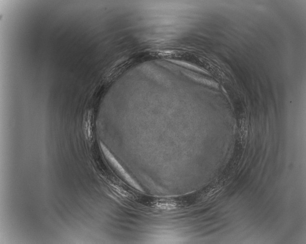 X0000071800653200607150148