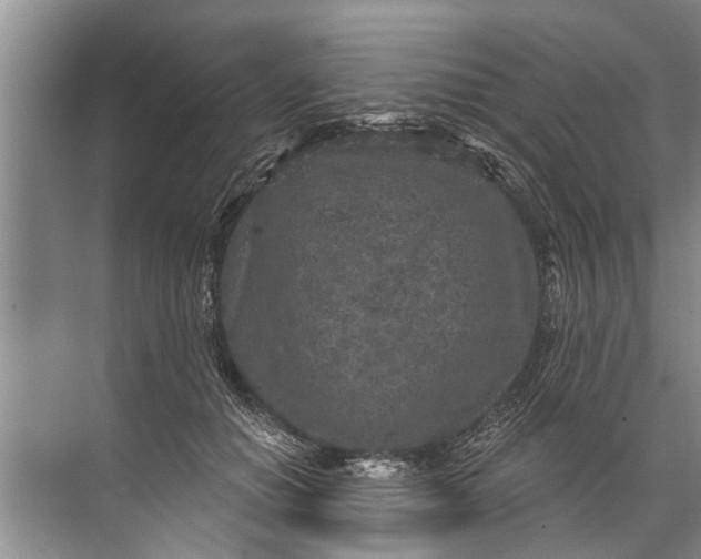 X0000071800654200607150148