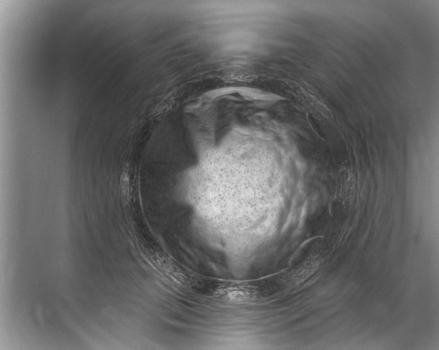 X0000071800655200607150148