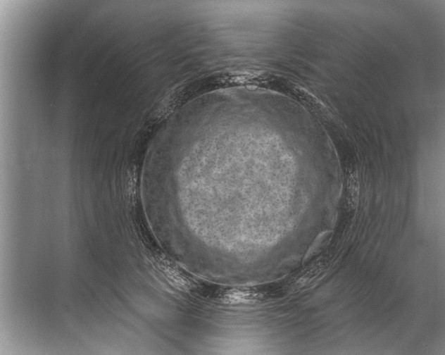 X0000071800657200607150148