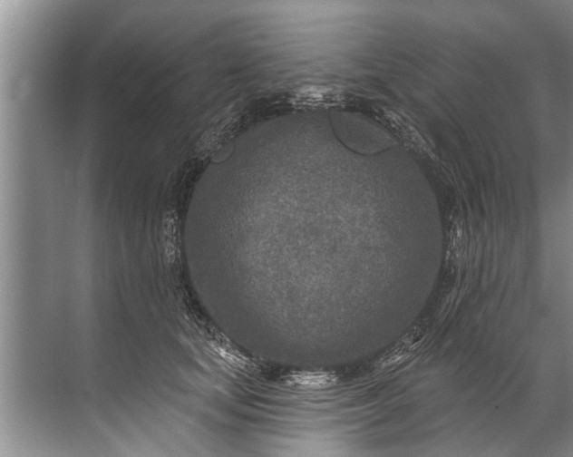 X0000071800659200607150148