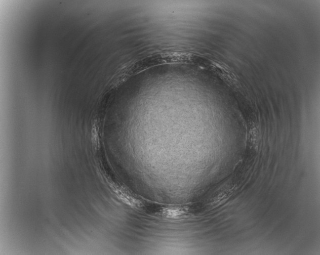 X0000071800662200607150148