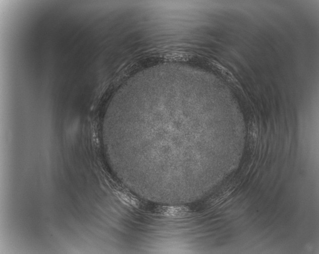 X0000071800663200607150148