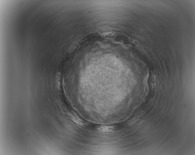 X0000071800664200607150148