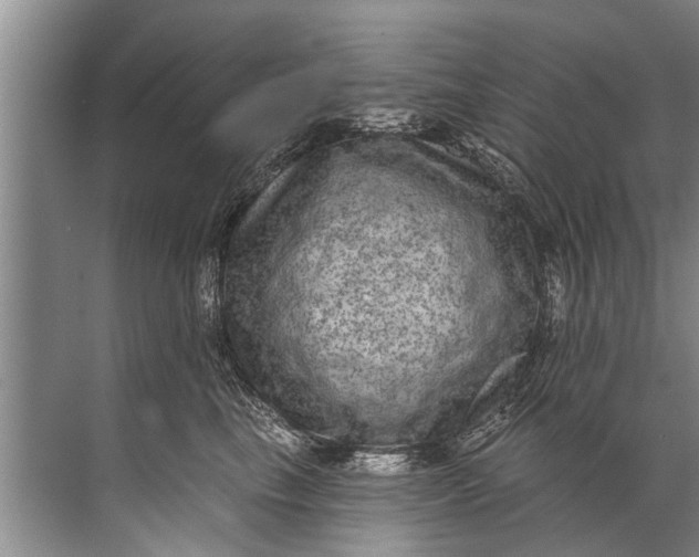 X0000071800665200607150148