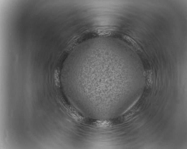 X0000071800667200607150148