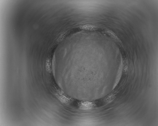 X0000071800669200607150148