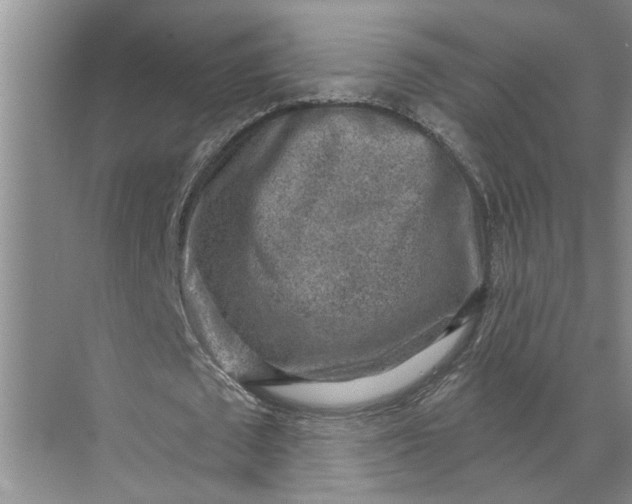 X0000071800673200607150147