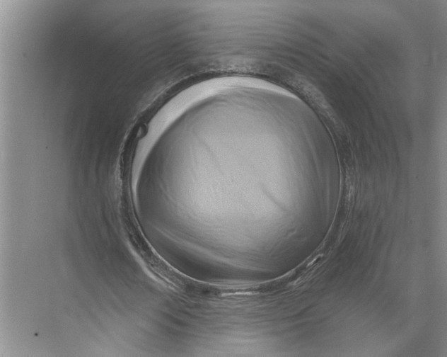 X0000071800674200607150147