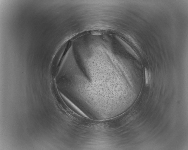 X0000071800675200607150147