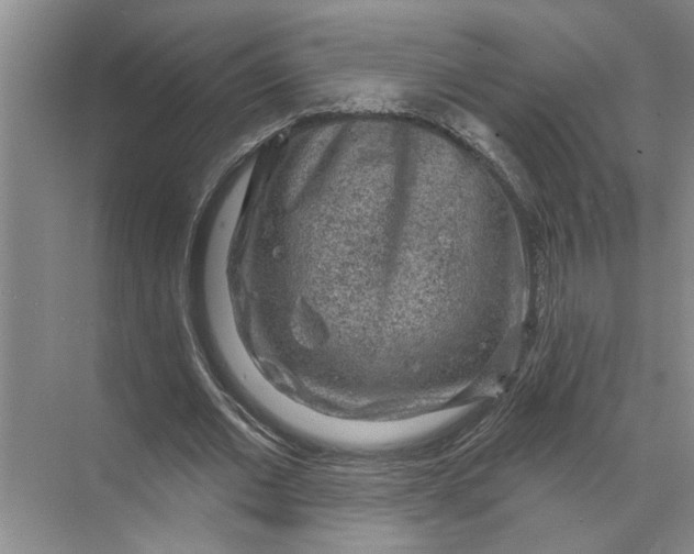 X0000071800677200607150147